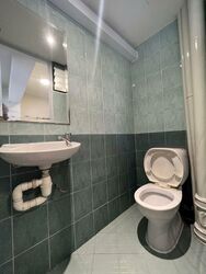 Dunearn Road (D11), Condominium #473771031